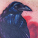 tattoo galleries/ - Raven